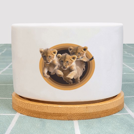 Kittens, Lion cubs Plant Pots
