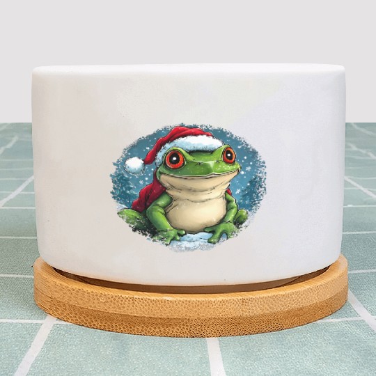 Frogs Christmas Plant Pots
