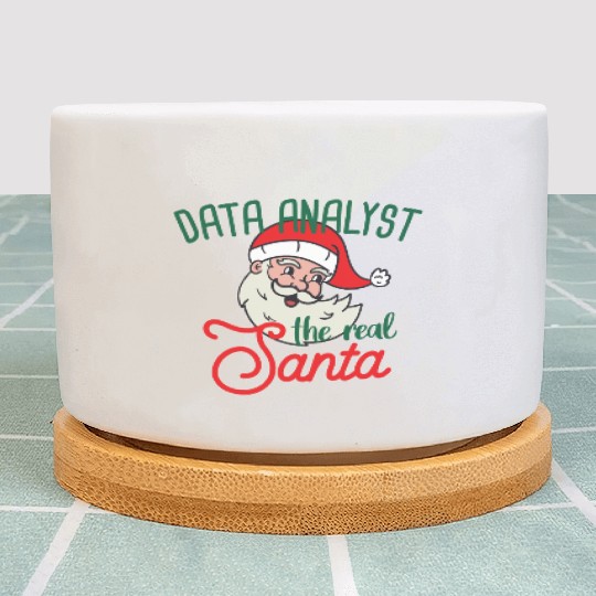 Data Analyst xmas the real Santa Christmas Plant Pots