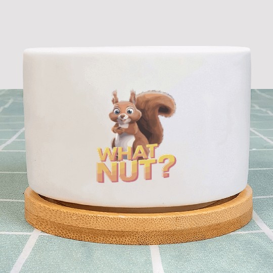 Cute Squirrel Holding Acorn What Nut for Squirre Plant Pots