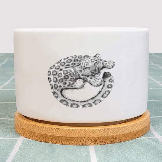 Snow Leopard Cub Plant Pots