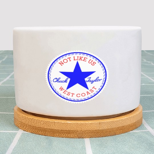 Not Like Us (Original) Plant Pots