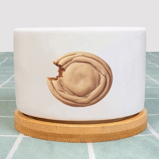 Slightly Bitten Snickerdoodle Snickerdoodle Cookie Plant Pots