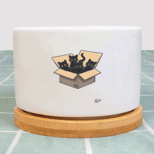 Cardboard Box Full of Black Cat Kittens Plant Pots