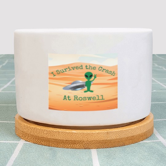 I Survived the Crash at Roswell in Desert Plant Pots