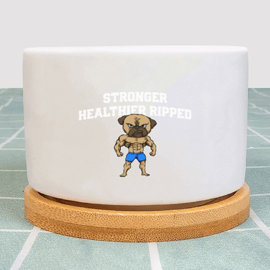 Stronger Healthier Ripped Funny Workout Humor Gym Plant Pots