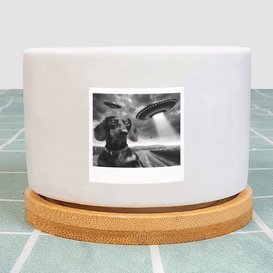 Dachshund Dog Mom Dad Funny Graphic Selfie UFOs We Plant Pots