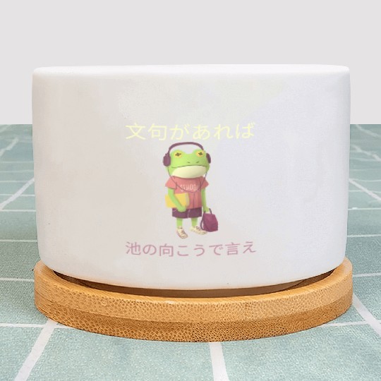 Japanese Funny Grumpy Frog Design Plant Pots