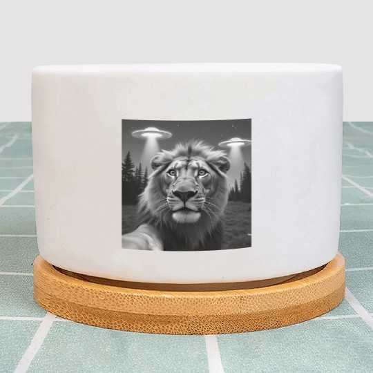 UFO Funny Lion Plant Pots