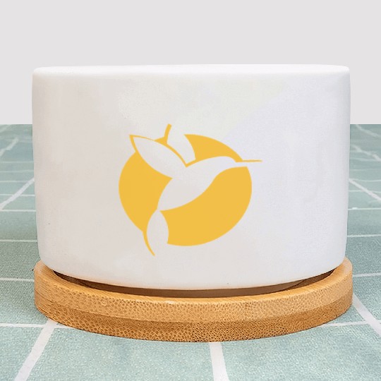 Hummingbird Sun Plant Pots