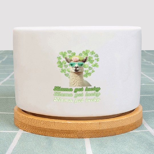 Llama Get Lucky | St. Patricks Day Edition Plant Pots