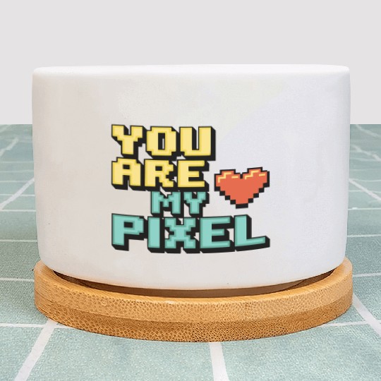 Gamer Valentine's Pixel 8-bit Gaming Couple Plant Pots