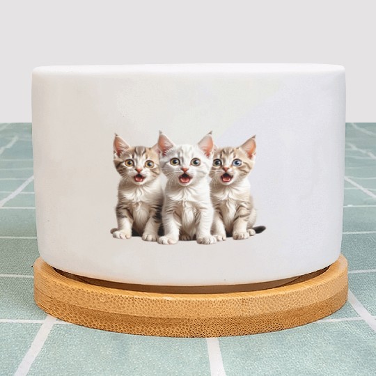 Surprised Kittens Plant Pots