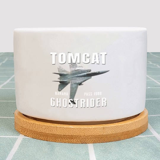 F-14 TOMCAT Infamous Banana Pass USS America Plant Pots