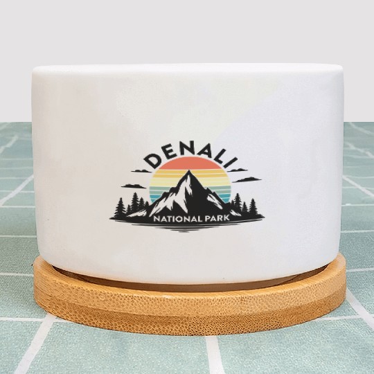 Retro Denali National Park US Vintage Denali Plant Pots