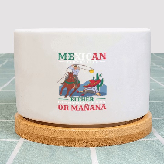 Mexico Themed Costume For Hispanic Heritage Month Plant Pots