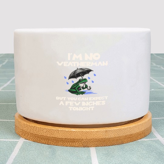 I'm No Weatherman Hilarious Weather Innuendo Quote Plant Pots