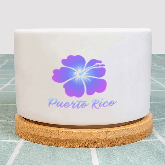 Puerto Rico Hibiscus Plant Pots