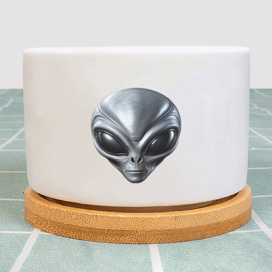 Small Grey Alien Extraterrestrial ET Being Plant Pots