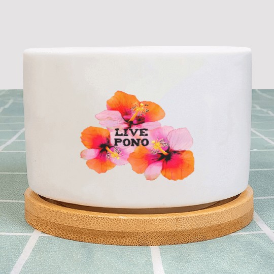 Live pono pink orange hibiscus flowers oahu maui Plant Pots