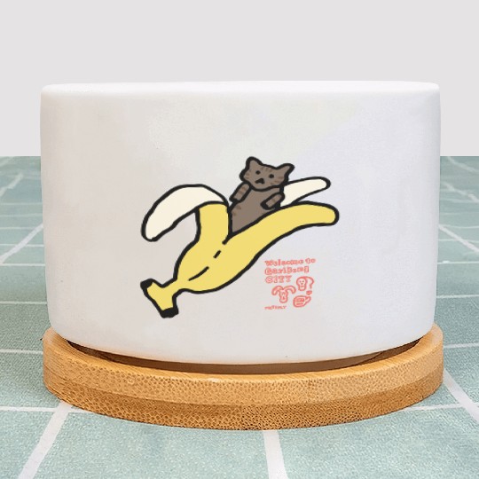 Bananyang - 015. Brown Tabby Plant Pots