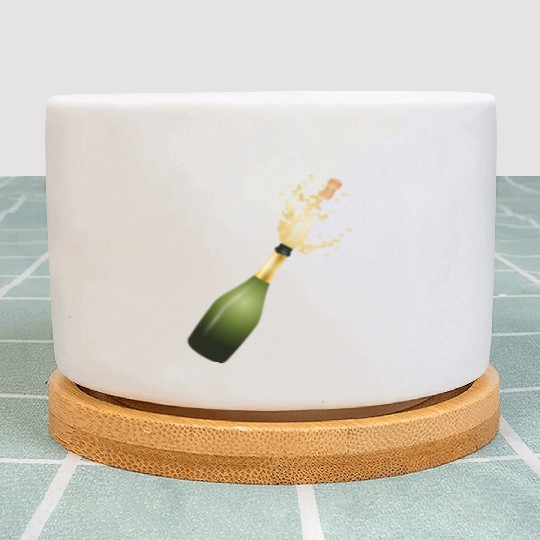 A champagne bottle – for New Year's Eve & parties Plant Pots