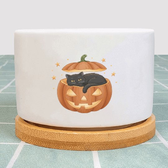 Black Cat in Jack-O-Lantern Pumpkin Plant Pots