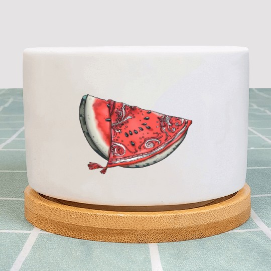 Streetwear Watermelon Slice - Fresh Summer Fruit Plant Pots