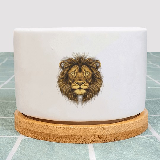 Lion King Plant Pots