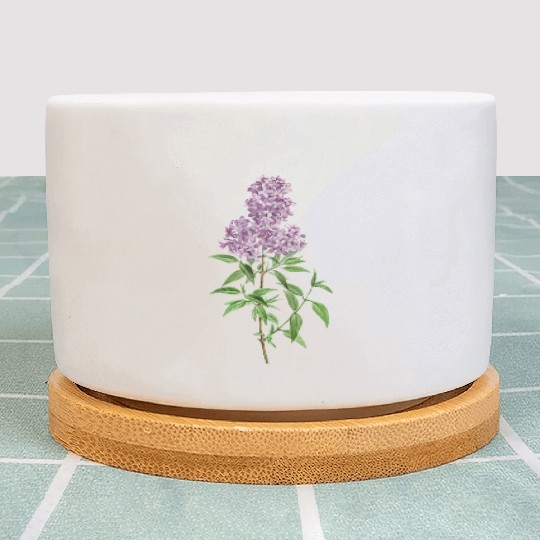 Lavender Bloom Botanical Illustration Plant Pots