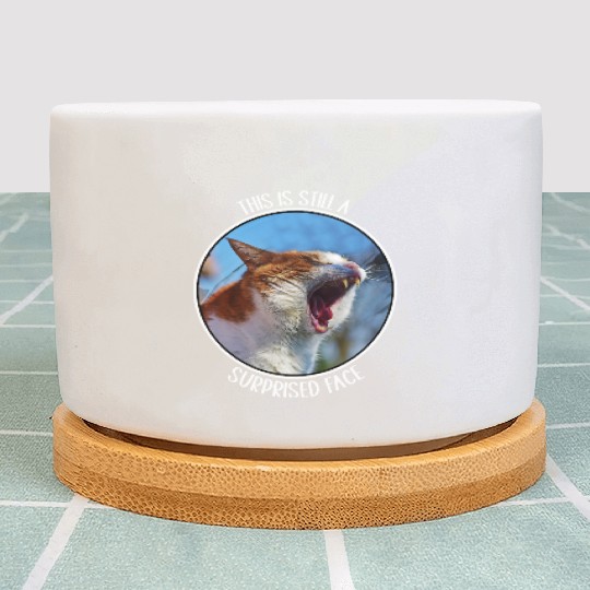 This is Still A Surprised Face Funny Cute Cat Meme Plant Pots