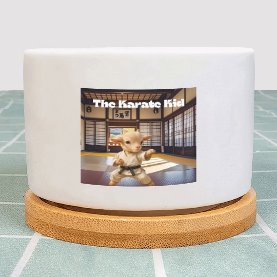 The Karate Kid Plant Pots