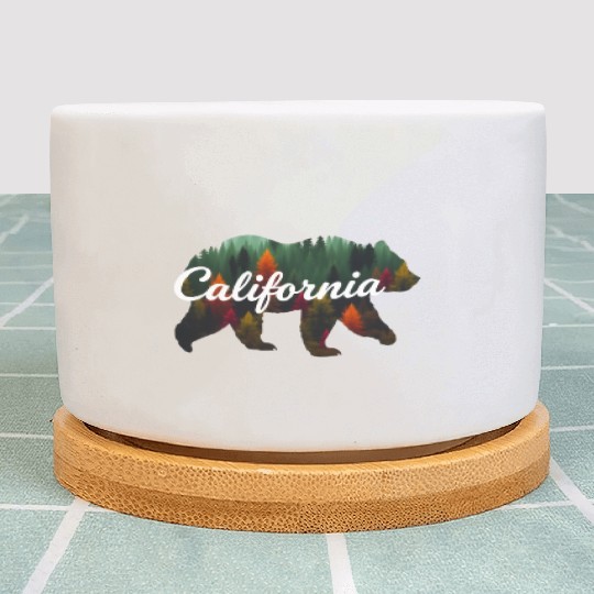 California Bear Forest Scene Plant Pots