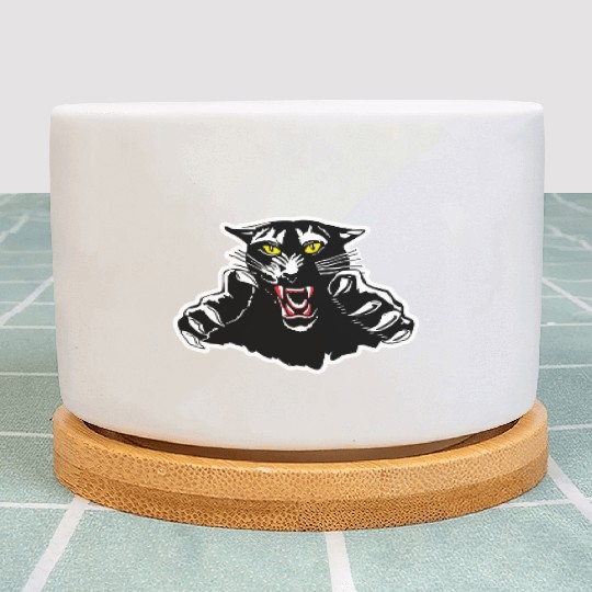 Black Panther Claw Design Plant Pots
