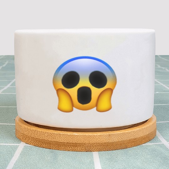 Expressive Scream Emmoticon Plant Pots