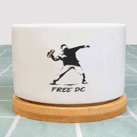 Free DC Sandwich Guy Banksy Style Street Art Plant Pots