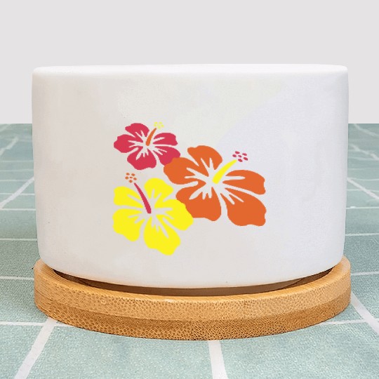 hibiscus triple Plant Pots