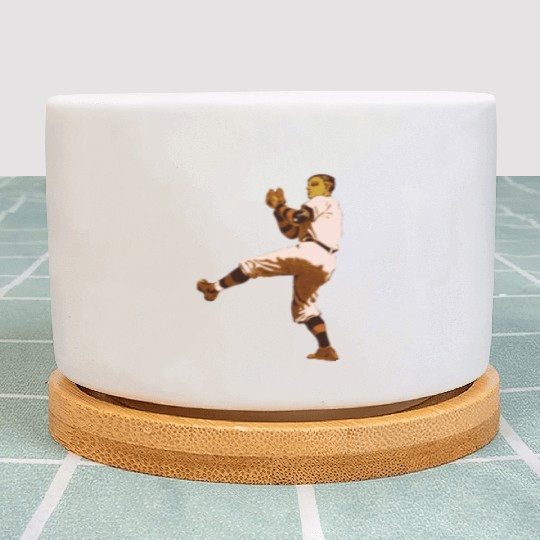 Baseball Pitcher Plant Pots