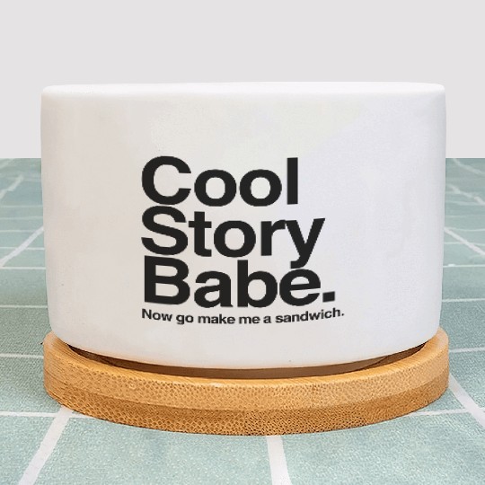 Cool Story Babe. Now go make me a sandwich Plant Pots