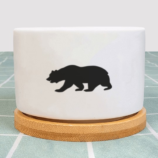 California Bear Plant Pots