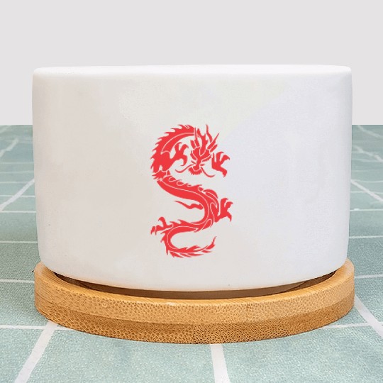 CHINESE DRAGON MMA Plant Pots