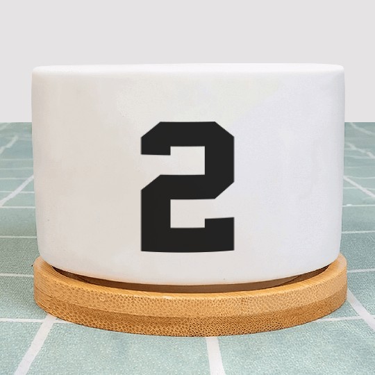 number 2 solid Plant Pots