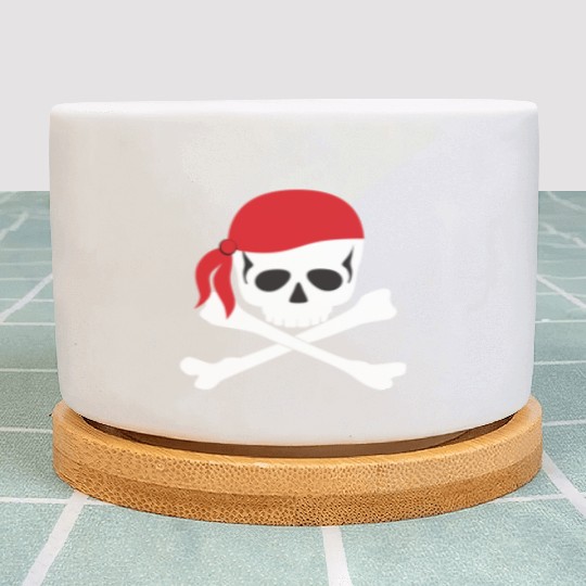 White Skull & Crossbones Plant Pots