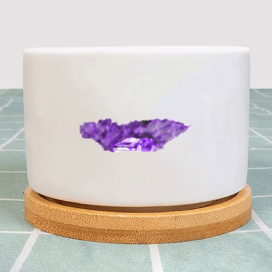 RALLY 1 PURPLE LIGHTNING Plant Pots