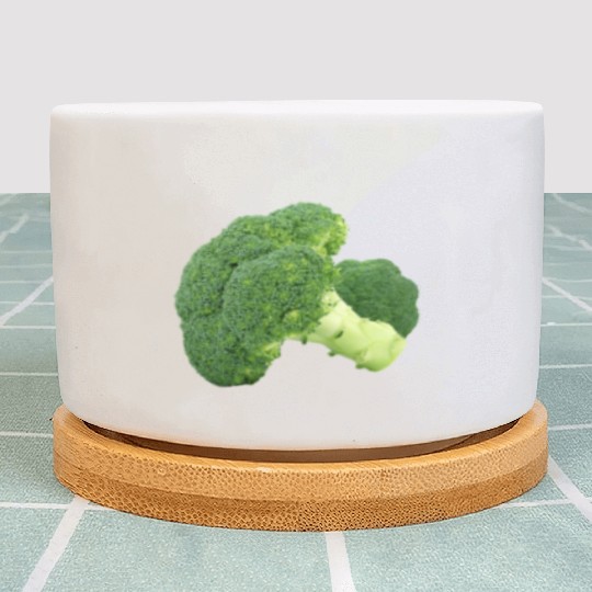 broccoli-1450274__340 Plant Pots