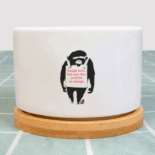 Laugh Now Monkey Sandwich Plant Pots