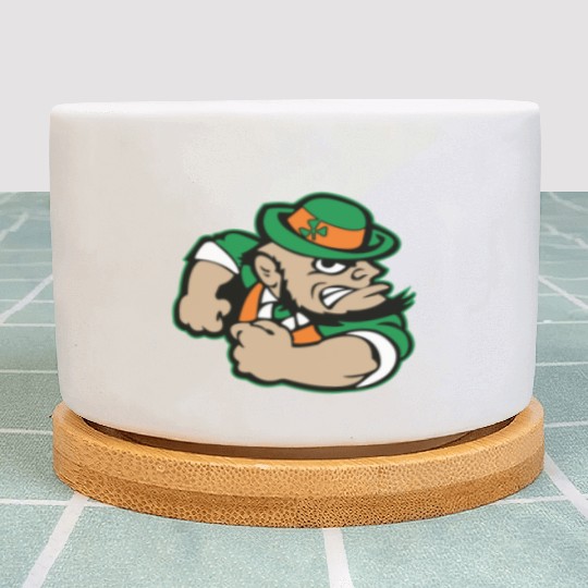 Leprechan Icon Plant Pots