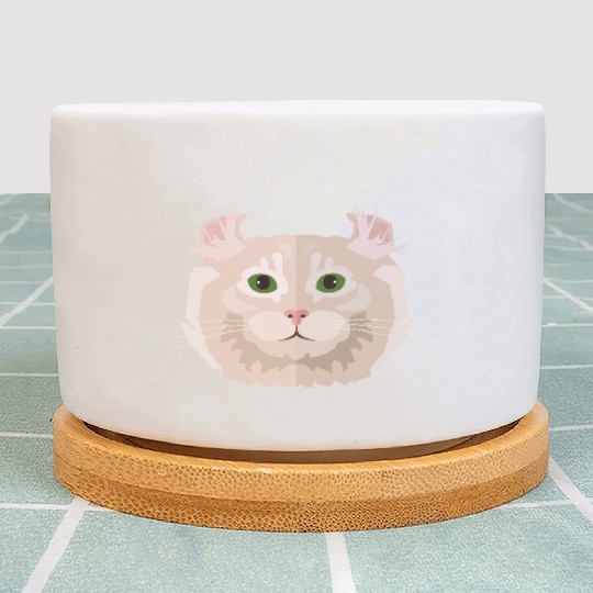 white cat Plant Pots