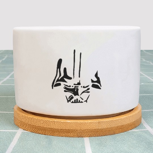 Darth Vader Plant Pots