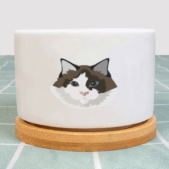 Cat face Plant Pots